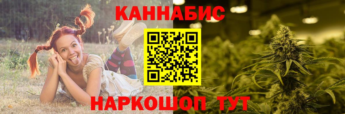Бошки марихуана OG Kush  Конопля тримм  Вход с VPN  МАРИХУАНА Bruce Banner  Канабис сатива  Муравленко 